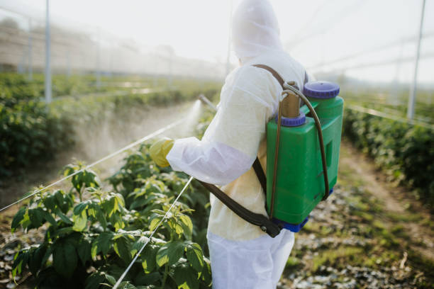 Best Wildlife Control Services  in King, NC